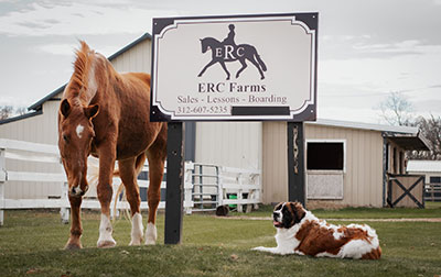 Horse and Dog by Sign