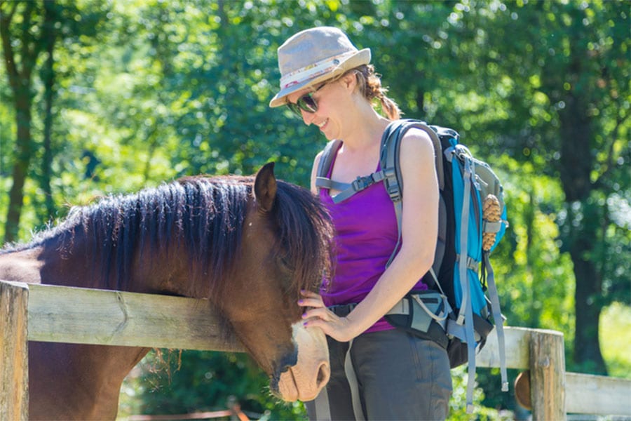 Animal Assisted Therapy Certification