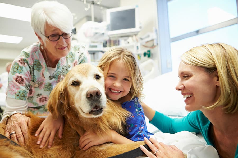 A young girl in a hospital bed smiles while hugging a therapy animal, accompanied by her mother and a nurse.